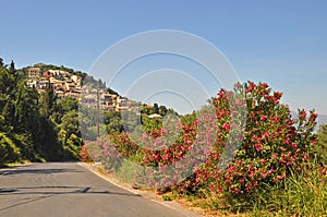 Corfu village pelekas