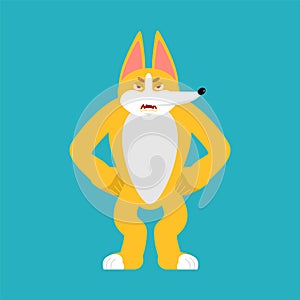 Corgi angry. Dog evil emotions avatar. Pet aggressive. Vector illustration