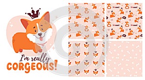 Corgi collection - seamless patterns and isolated illustration. Vector