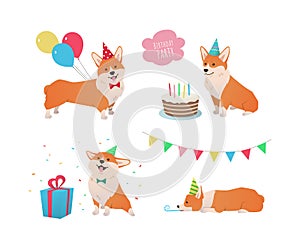 Corgi dog birthday party set. Cute cartoon pet with cake, balloons, confetti and gift box on white background. - Vector