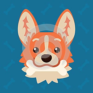 Corgi dog emotional head with bone in mouth. Vector illustration of cute dog in flat style shows playful emotion. Frisky