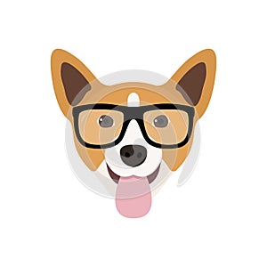 Corgi Dog in fashions glasses. Funny dog icon.