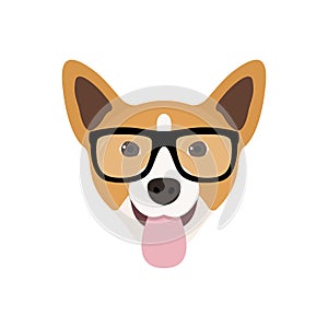 Corgi Dog in fashions glasses. Funny dog icon. photo