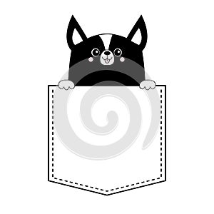 Corgi dog happy face head icon in the pocket. Holding hands paw. Cute cartoon pooch character. Contour black silhouette. Kawaii an