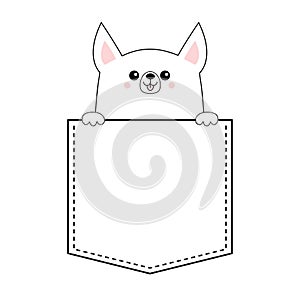 Corgi dog happy face head icon in the pocket. Holding hands paw. Cute cartoon pooch character. Contour silhouette. Kawaii animal.