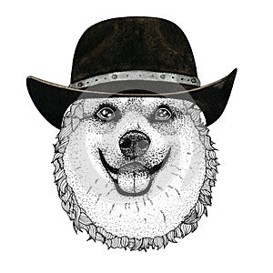 Corgi dog head hand drawn illustration. Wild animal wearing cowboy hat Wild west