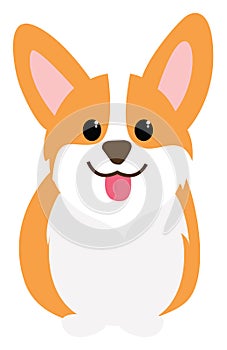 Corgi dog, illustration, vector photo