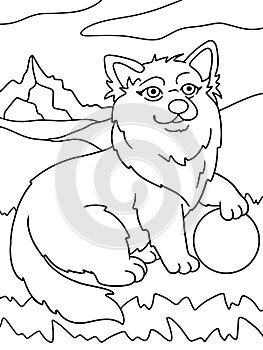 Corgi dog playing with a ball in the park. Children coloring book. Raster.
