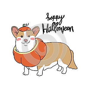 Corgi dog in pumpkin Halloween costume cartoon illustration