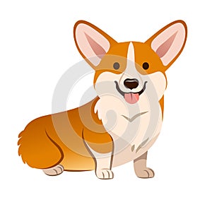 Corgi dog vector cartoon illustration. Cute friendly welsh corgi photo