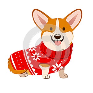 Corgi dog wearing a Christmas red sweater with Nordic snowflake