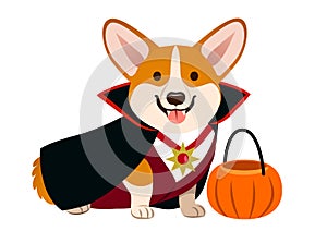 Corgi dog wearing vampire Halloween costume with black cape, fan