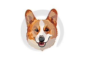 Corgi Head Vector Tracing Art Design Portrait