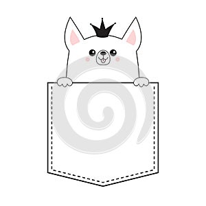 Corgi princess crown dog happy face head icon in the pocket. Holding hands paw. Cute cartoon pooch character. Contour silhouette.