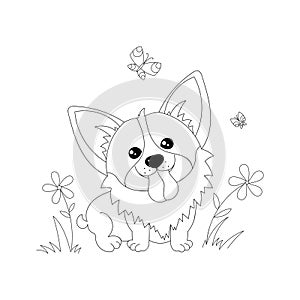 Corgi puppy. Black and white linear image. Vector