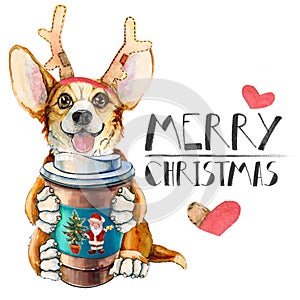 Corgi puppy in Santa Claus hat. Dog with coffee and deer horns. Christmas. New year postcard