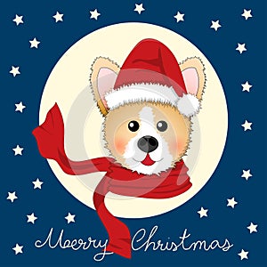 Corgi Santa Claus with Red Scarf on Blue Christmas Greeting Card. Vector Illustration