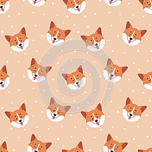 Corgi seamless pattern. Cute dog faces and polka dot background
