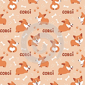 Corgi seamless pattern. Cute puppies background. Vector