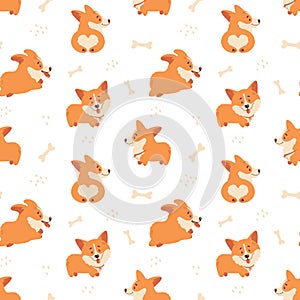 Corgi seamless pattern. Cute puppies background. Vector