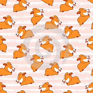 Corgi seamless pattern. Cute puppies background. Vector