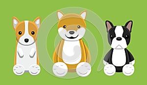 Corgi Shiba Inu Boston Terrier Pet Doll Set Cartoon Vector Illustration