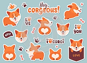 Corgi sticker set. Cute puppies in different poses. Vector illustrations