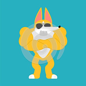 Corgi Strong Cool serious. Dog powerful. Pet strict. Vector illustration