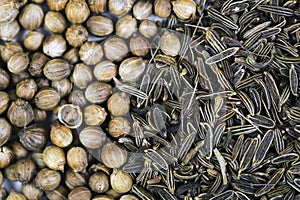 Coriander and cumin