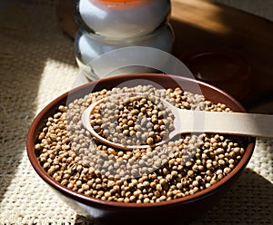 Coriander grains in a ceramic bowl