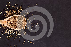 Coriander grains in a wooden spoon are scattered on a black background. Concept, copy space