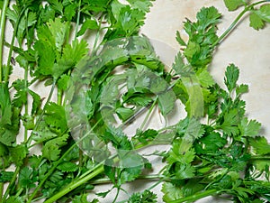 Coriander greens on the table. cilantro. Greenery from the garden. Cutting board. Cooking. Vegan food. Useful product. Ingredient