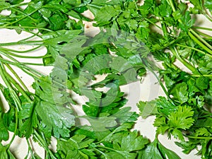 Coriander greens on the table. cilantro. Greenery from the garden. Cutting board. Cooking. Vegan food. Useful product. Ingredient