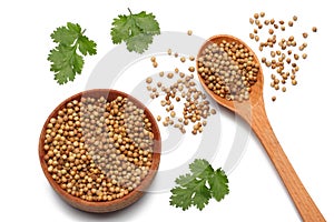 coriander leaves and seeds isolated on white background top view