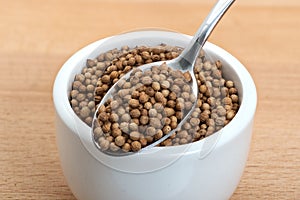 Coriander organic seeds in small white bowl