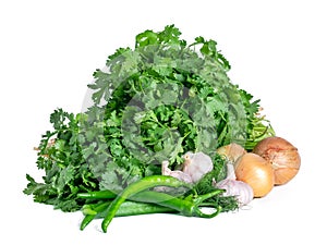 Coriander, parsley and other vegetables isolated on white background