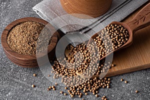 Coriander powder and coriander beans in a wooden spoon. Dry coriander. Coriander seed spice