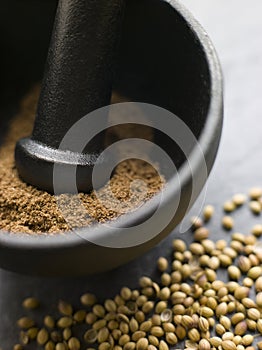 Coriander Powder in a Pestle and Mortar with Coria