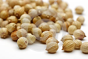 Coriander seed