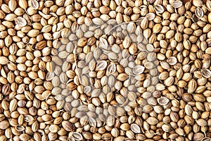 Coriander seed background