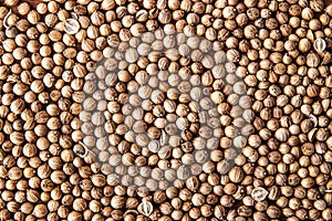 Coriander seed background close-up