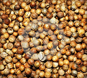 Coriander Seed Background