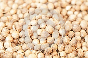 Coriander seed