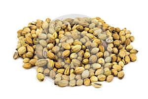 Coriander Seed