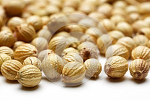 Coriander seed