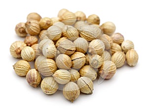 Coriander seed