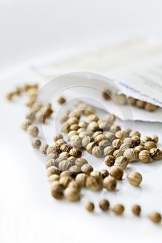 Coriander Seed Packet - 6265