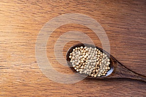 Coriander seed, spices, in wooden spoon on rustic wood table background