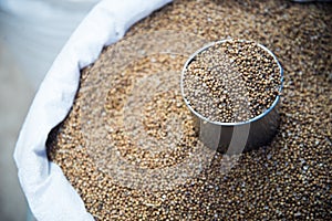 Coriander Seed