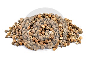 Coriander seed on white background